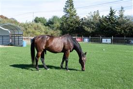 LR-WRF 10182025 Retreat-6559